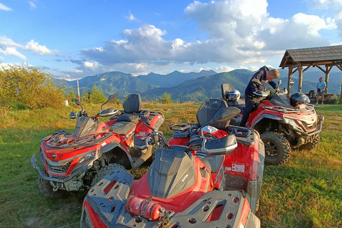 Zakopane: Snowmobile, Quad, or Buggy Tatra Mountains Tour