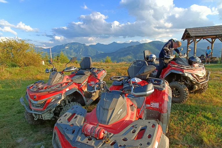 Zakopane: Snowmobile, Quad, or Buggy Tatra Mountains Tour