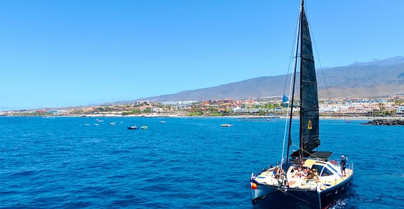 Solo adultos: catamarán exclusivo en Costa Adeje de 3 horas. Ballenas y delfines