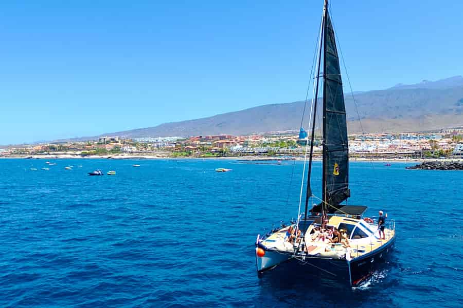 Nur für Erwachsene: exklusiver Katamaran in Costa Adeje, 3 Stunden, Wale, Delfine. Foto: GetYourGuide