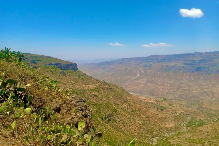 Debre Libanos und die Portugiesische Brücke Tagestour von Addis