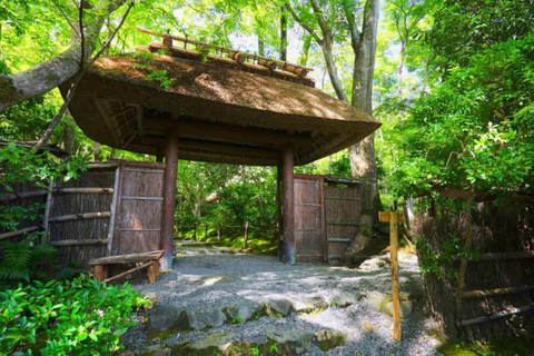 From Osaka/Kyoto: Kyoto Nara Day Trip Highlights