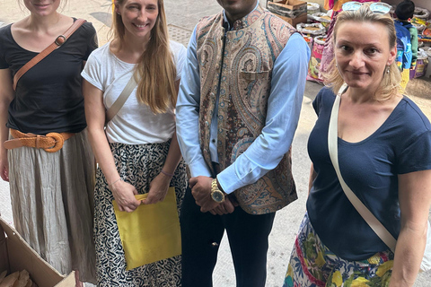 Udaipur: Private City Tour with Multilingual Guide