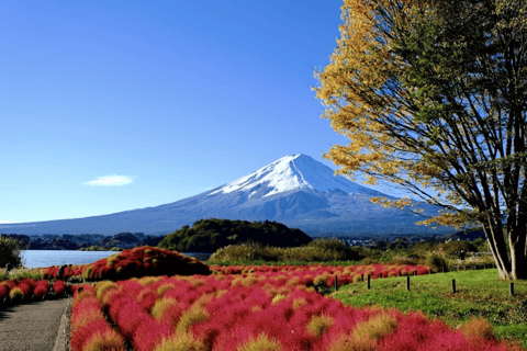 Von Tokio aus: Mount Fuji Customize Day Tour mit englischem Fahrer