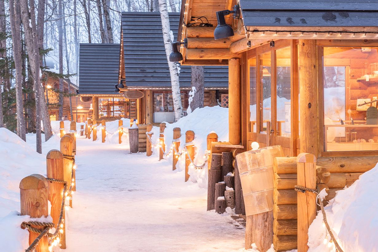 Excursion d&#039;une journée à Hokkaido : Zoo d&#039;Asahiyama, Biei et terrasse de Ningle