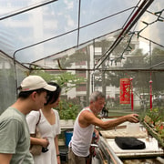 Singapore: Public Housing & Local Life Private Walking Tour