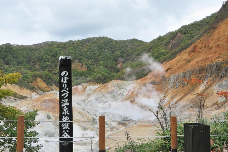 Hokkaido Winter: Toya Lake & Kimobetsu Snowmobile Day Trip