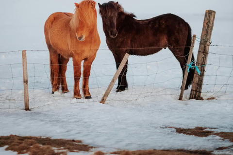 Iceland: Reynisfjara Black‑Sand Beach Horseback Adventure