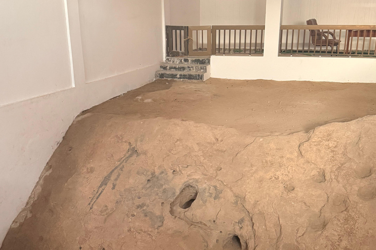 Salalah Highlights Tour: Heritage Sites, Markets &amp; Beach