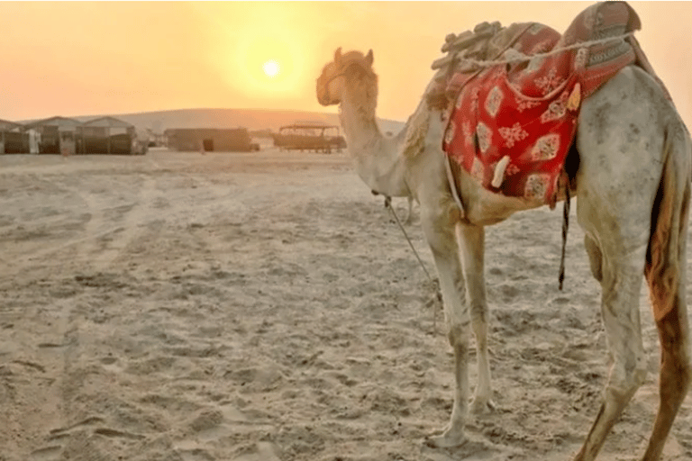 Qatar: Overnight Desert Adventure, Dune Bashing & Camp Stay