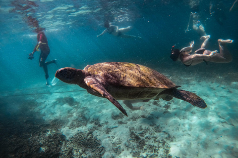 كوه تاو: كوه نانغيوان ورحلة الخلجان المخفية بواسطة الأكسجينرحلة بعد الظهر