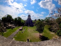 来自弗洛雷斯（Flores），蒂卡尔（Tikal - Housity