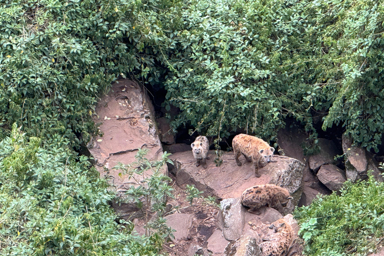 Blue Nile Gorge Wildlife & Cultural Day Trip