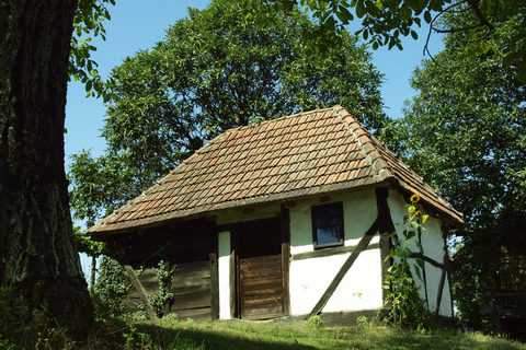 Novigrad Podravski: Vineyard Walking Tour in Podravina