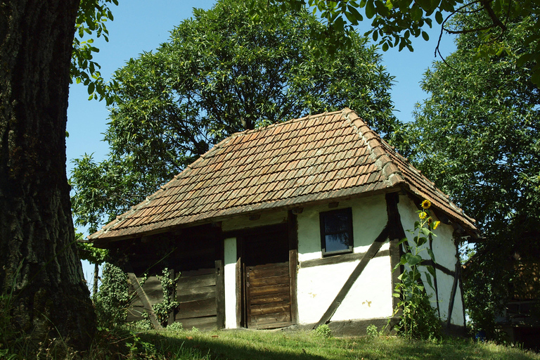 Novigrad Podravski: Vineyard Walking Tour in Podravina