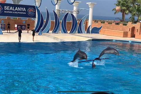 Alanya: Servicio de traslados al Parque de los Delfines desde todas las localidadesTraslado desde hoteles