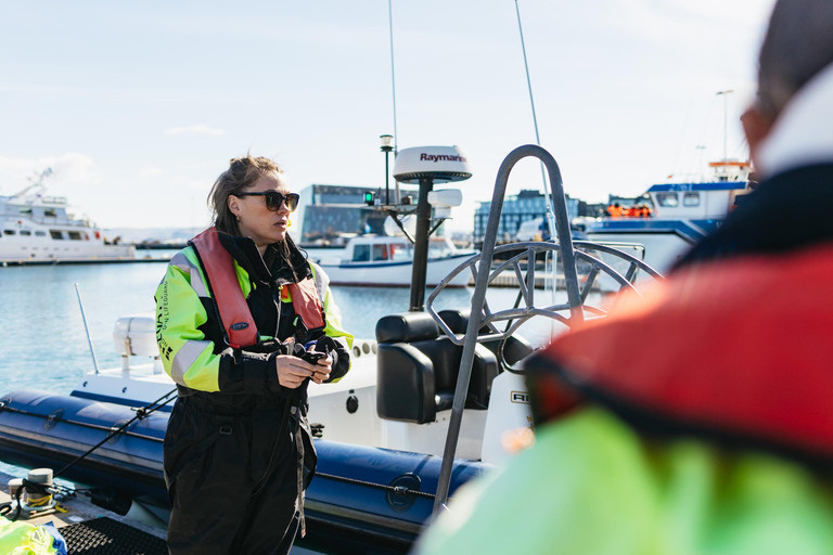 Reykjavik: Walvistour per RIB boot