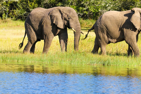 Akagera Wildlife Photography Safari: Big Five & Boat Cruise