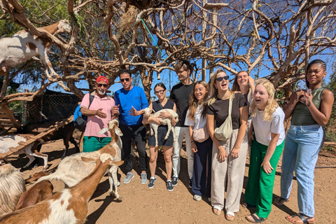 From Marrakech: Essaouira Day Trip with Beach & Medina Essaouira Small Group Day Trip