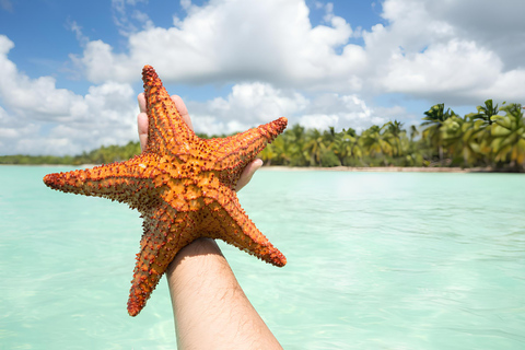 Île de Saona privée : Excursion en bateau rapide depuis Punta CanaVisite privée de l'île de Saona avec Mano Juan en bateau rapide