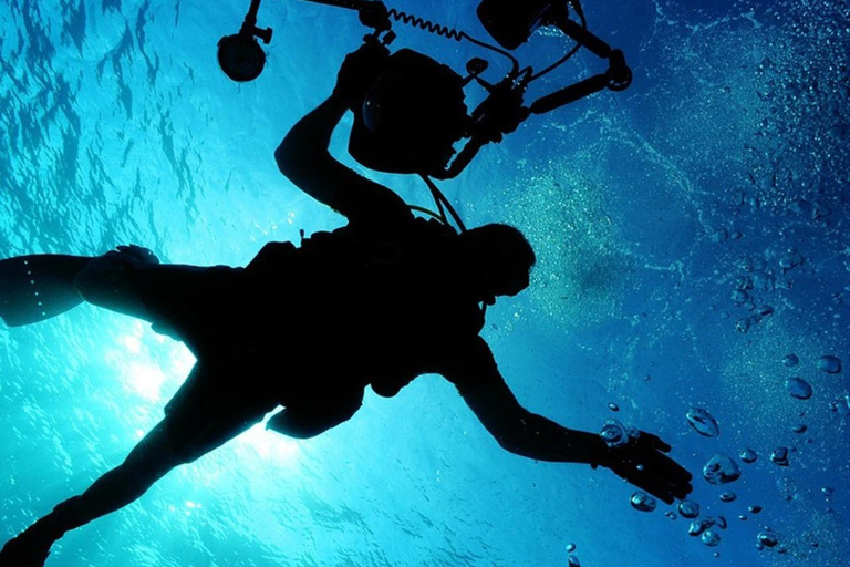 Djerba: Scuba Diving & Seabed Discovery Djerba: Scuba Diving & Seabed Exploration