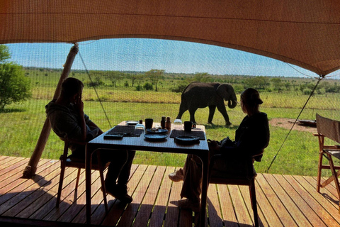 Tansania: 5-tägige Luxus-Safari in der Serengeti und zum Ngorongoro-Krater