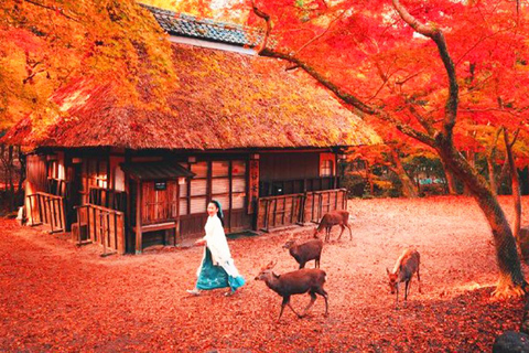 Excursion d&#039;une journée à Kyoto et Nara avec Kiyomizu-dera, le parc et le temple de Nara8 h 40 Départ d&#039;Osaka