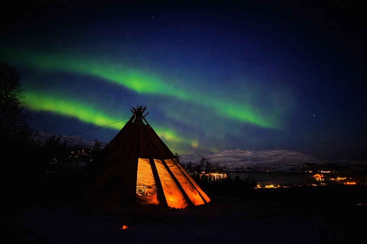 トロムソ 犬ぞり体験ツアー
