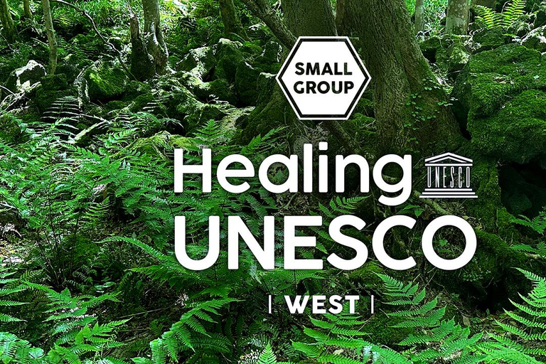 Jeju West: Healing UNESCO Small Group Day Tour