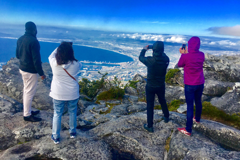 Cape Town: Table Mountain, Penguins & Cape Point Shared Tour