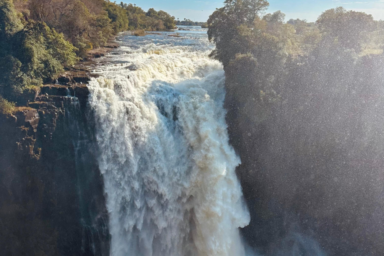 Victoria Falls Guided Walking Tour & Vulture Experience