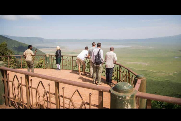 Vanuit Arusha: Ngorongoro krater safari met picknick lunch