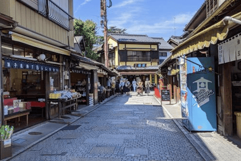 Tour privato di un giorno a Shiga