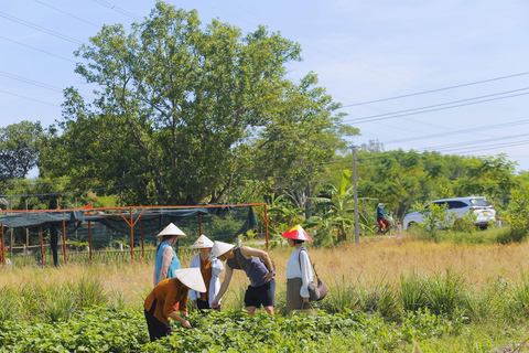 Hue: Village Cycling or Tractor Ride, Farming& Cooking Class Hue: Bicycle Countryside Tour with Cooking Class