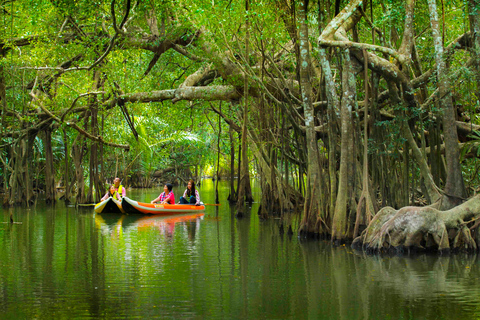 Khao Laks lilla Amazonas: Dagsutflykt med kanot, vandring och vattenfall