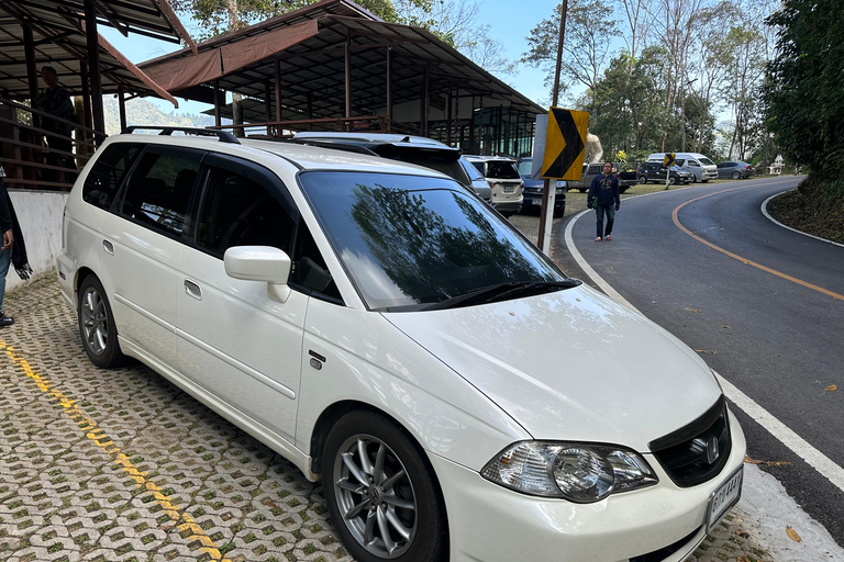 Chiang Mai:Sticky Watefall private tour with lunch