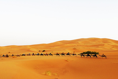 Excursión de 3 días por el desierto del Sáhara marroquí de Marrakech a Fez