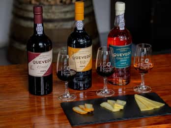 Vila Nova de Gaia: Port Wine Tasting with Cheese Pairing