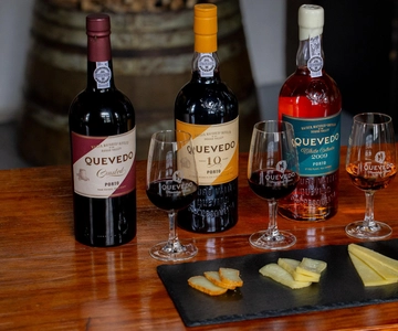 Vila Nova de Gaia: Port Wine Tasting with Cheese Pairing
