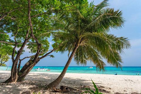 Ko Lanta: Koh Rok e Koh Haa Snorkeling a excursão das joias de Andaman