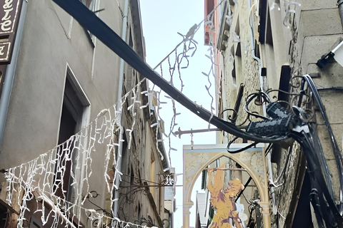 Mont-Saint-Michel privé rondleiding met proeverij vanuit Parijs