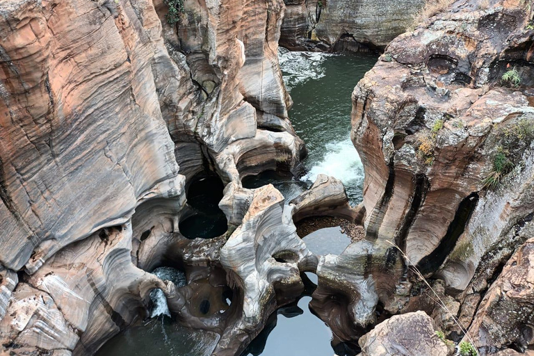 Kruger Park: 5-Day Kruger Park and Manyeleti Safari Tour