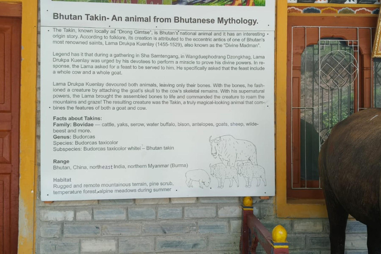 7 Day Budget-Friendly Bhutan Tour with All-Inclusive Service