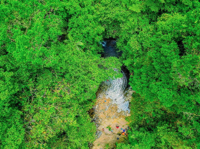 From Hue: 1 day DISCOVERY BACH MA NATIONAL PARK