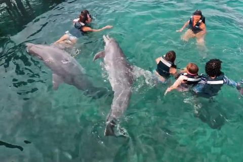 Día completo en las Islas del Rosario con almuerzo Cartagena