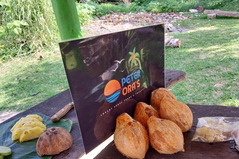 Port Vila: Private Customizable Tour with Driver