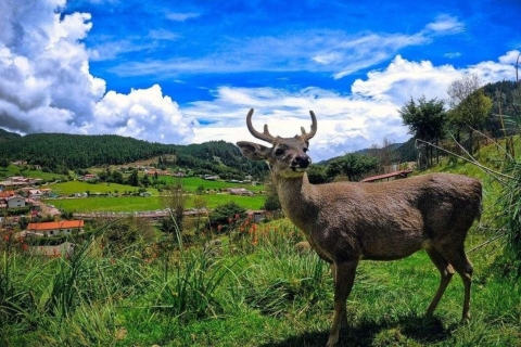Cajamarca | Porcón Farm und Otuzco |