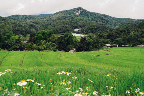 Trekking w Parku Narodowym Doi Inthanon i Pha Dok Siew Trail TrekWycieczka do Parku Narodowego Doi Inthanon i Pha Dok Siew Trail Trek