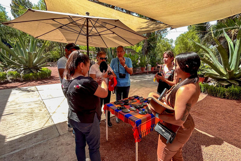 Città del Messico: Piramidi di Teotihuacan e Basilica di Guadalupe