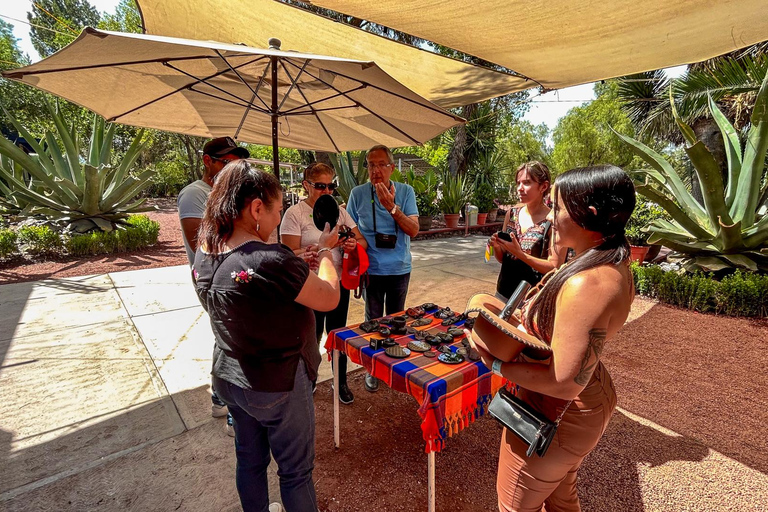 Città del Messico: Piramidi di Teotihuacan e Basilica di Guadalupe